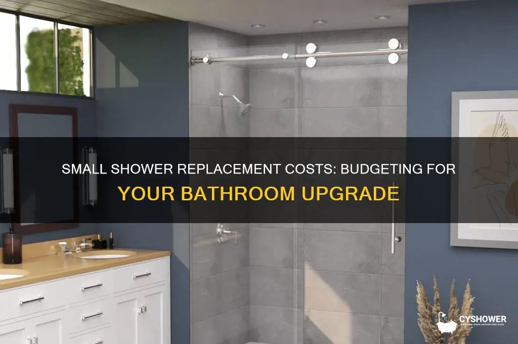 how much does it cost to replace a small shower
