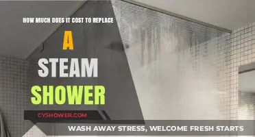 Steam Shower Replacement Costs: What to Expect for Your Upgrade