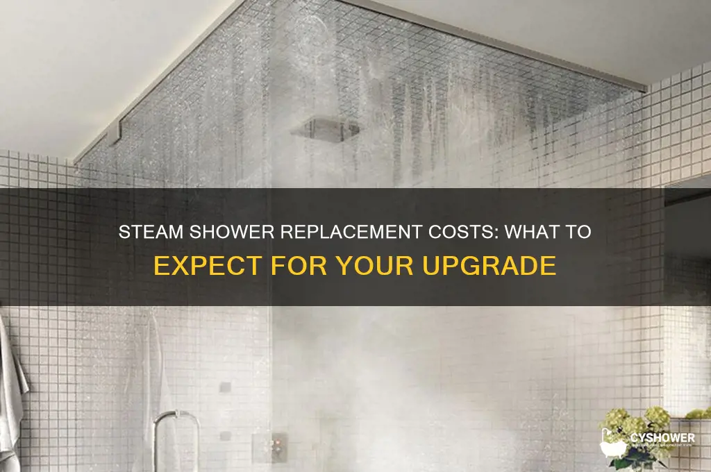 how much does it cost to replace a steam shower