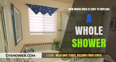 Revamping Your Shower: A Cost Breakdown for a Full Replacement