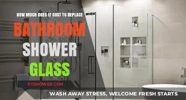 Bathroom Shower Glass Replacement Cost: What to Expect