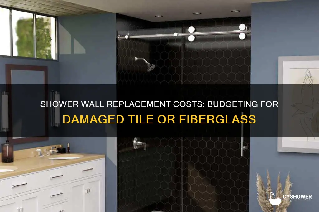 how much does it cost to replace damaged shower walls