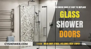 Glass Shower Door Replacement Costs: What to Expect and Budget For