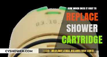 Exploring the Expenses: Shower Cartridge Replacement Costs Uncovered