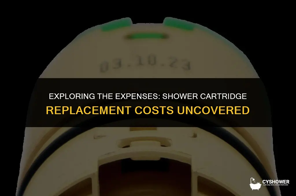 how much does it cost to replace shower cartridge