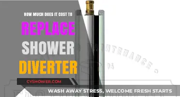 Exploring the Expenses: Shower Diverter Replacement Costs Uncovered