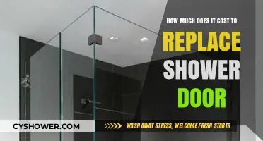 Budgeting for Bathroom Renovations: Shower Door Replacement Costs