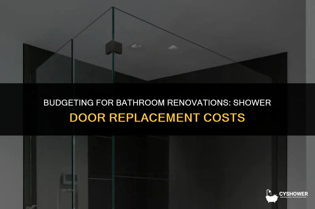 how much does it cost to replace shower door