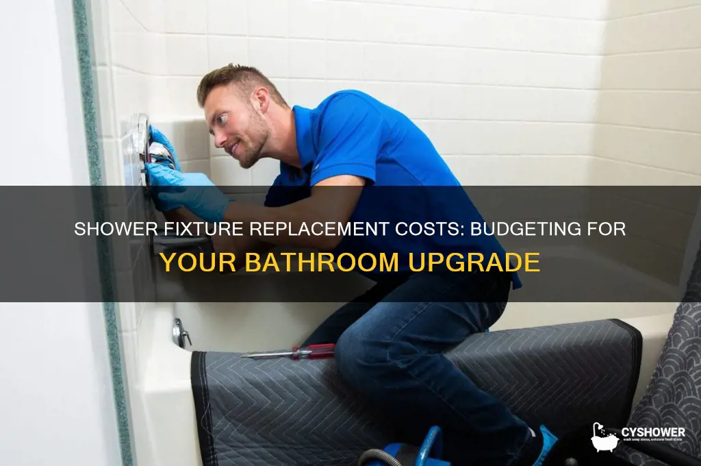 how much does it cost to replace shower fixtures