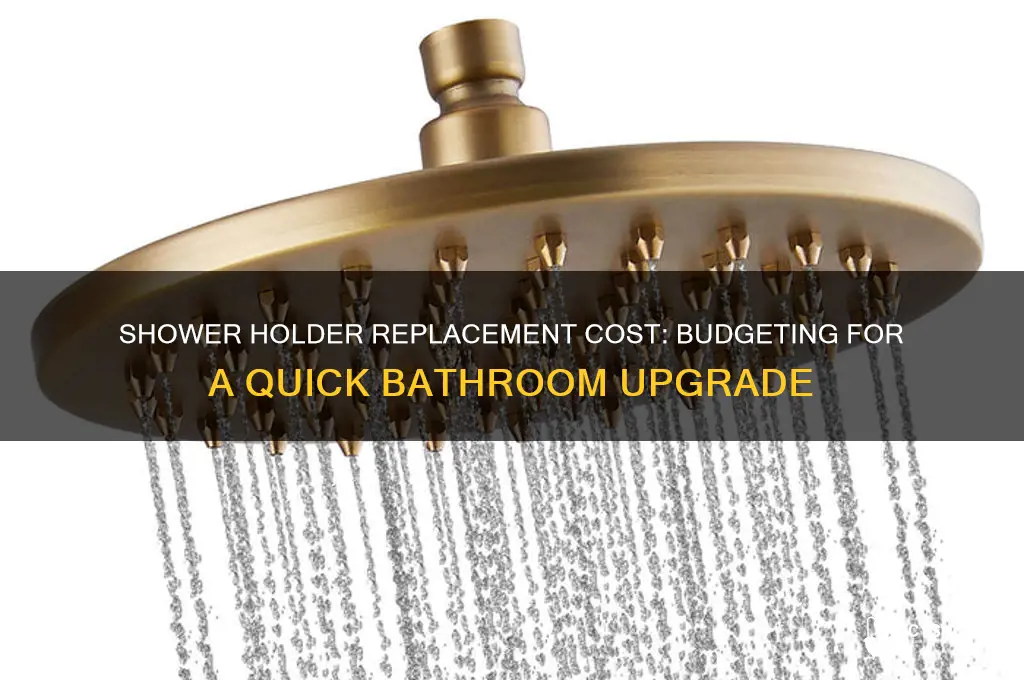 how much does it cost to replace shower holder