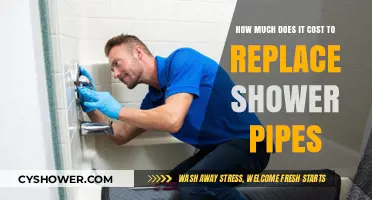 Shower Pipe Replacement Costs: What to Expect and Budget For