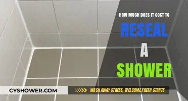 Revamping Your Shower: A Cost Guide to Resealing