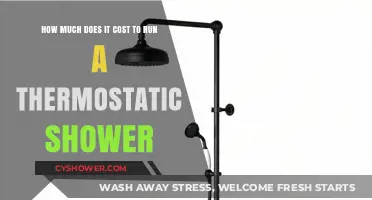 Exploring the Costs: Thermostatic Shower Operation Expenses Unveiled