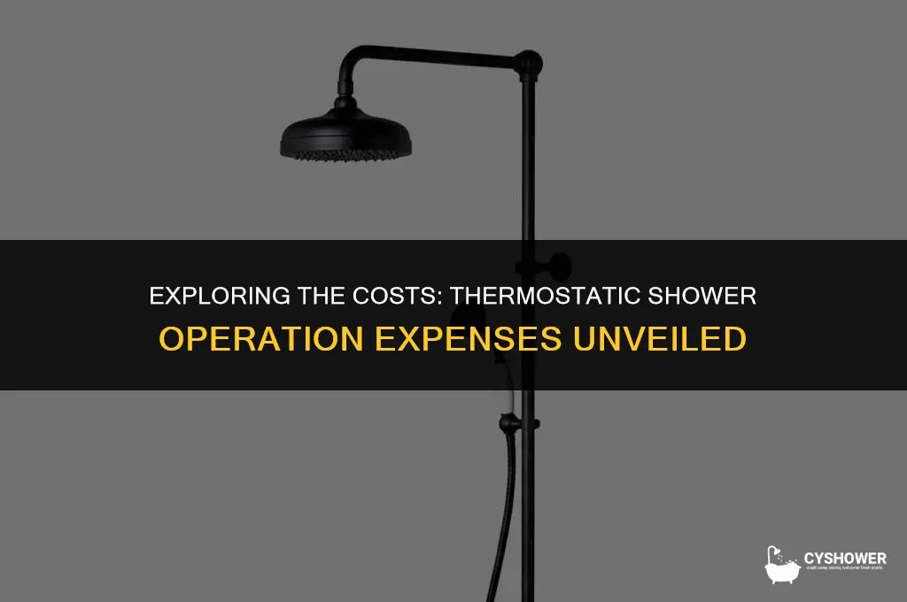 how much does it cost to run a thermostatic shower