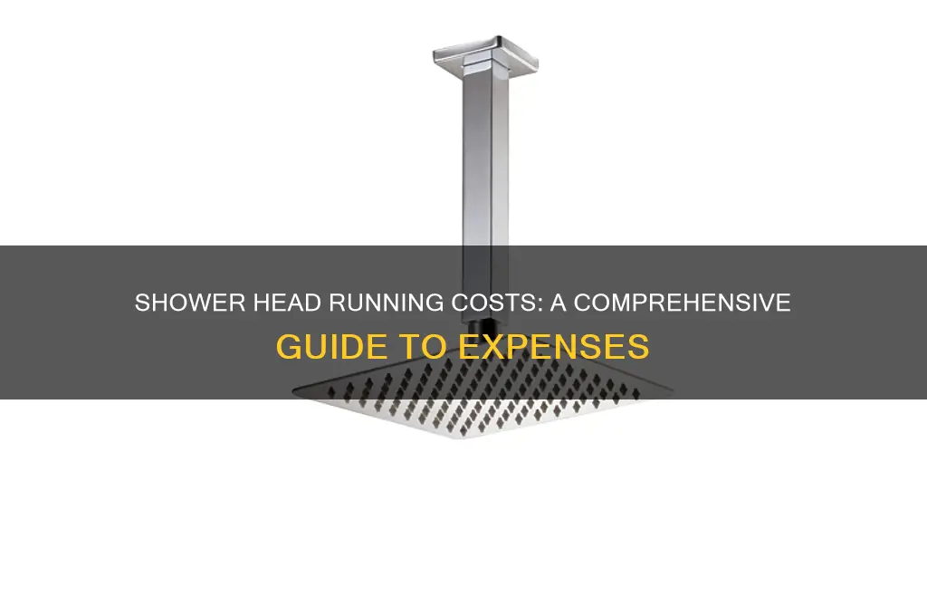how much does it cost to run shower head