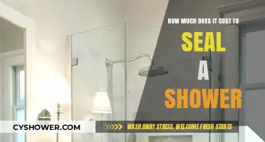 Budgeting for Bathroom Bliss: The Cost of Sealing Your Shower