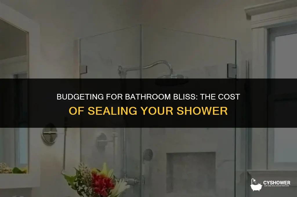 how much does it cost to seal a shower