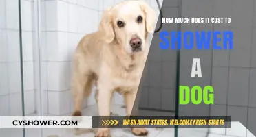 The Ultimate Guide to Dog Showering Costs: Budgeting for Your Furry Friend's Hygiene