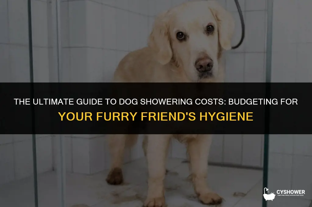 how much does it cost to shower a dog