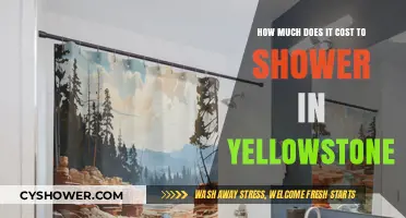 Exploring Yellowstone: The Surprising Cost of a Shower in the Park