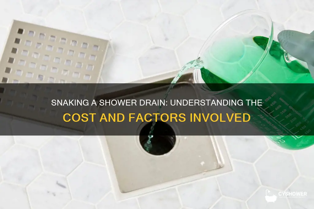 how much does it cost to snake a shower drain