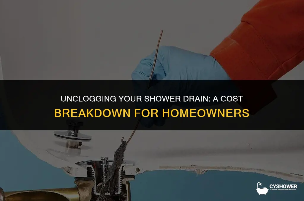 how much does it cost to snake a shower