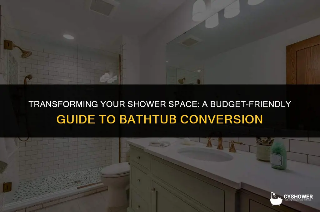 how much does it cost to switch shower to bathtub