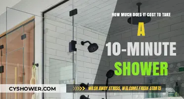Shower Costs Unveiled: The Price of a 10-Minute Refresh