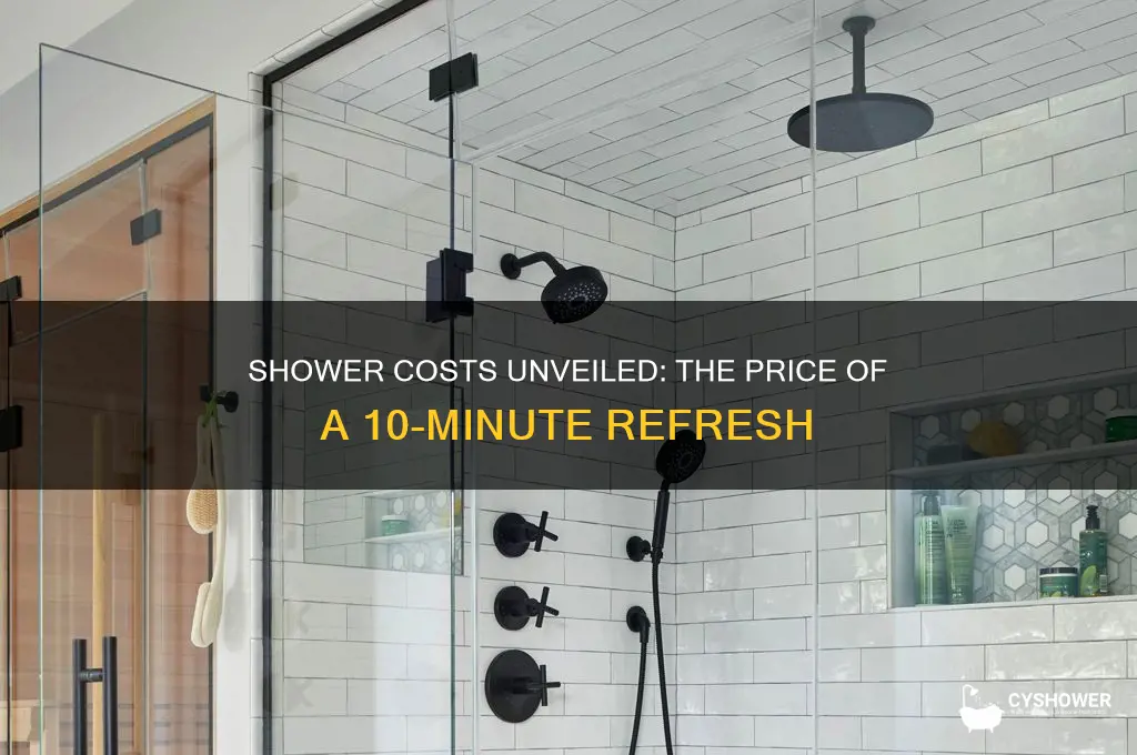 how much does it cost to take a 10-minute shower
