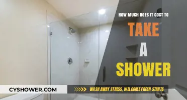 Shower Costs Unveiled: Calculating Your Daily Water and Energy Expenses