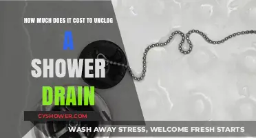 Unclogging Shower Drains: Cost Breakdown and Budget-Friendly Tips