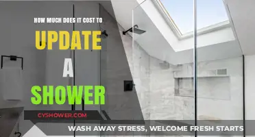 Revamping Your Shower: A Cost Breakdown for Homeowners
