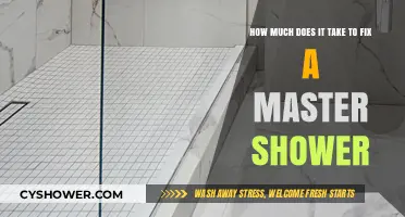 Master Shower Repair Costs: What to Expect for a Fix