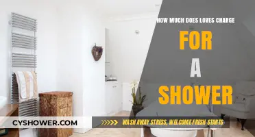 Exploring Love's Priceless Shower: A Journey Beyond Monetary Value