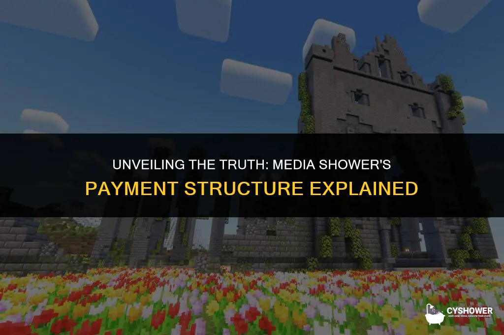 how much does media shower p ay