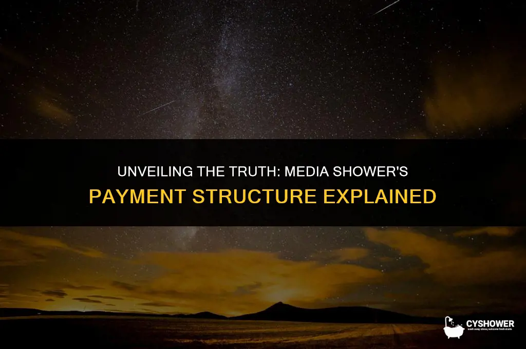 how much does media shower pay