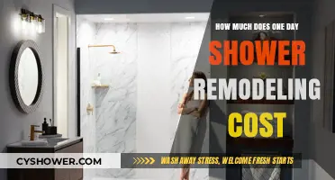 Revamping Your Shower: A Budget-Friendly One-Day Remodel Guide