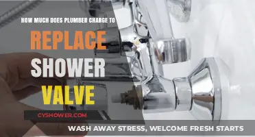 Understanding Shower Valve Replacement Costs: A Plumber's Guide
