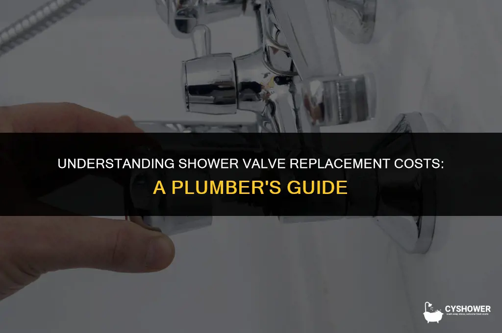 how much does plumber charge to replace shower valve