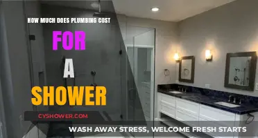 Understanding Shower Plumbing Costs: A Comprehensive Guide