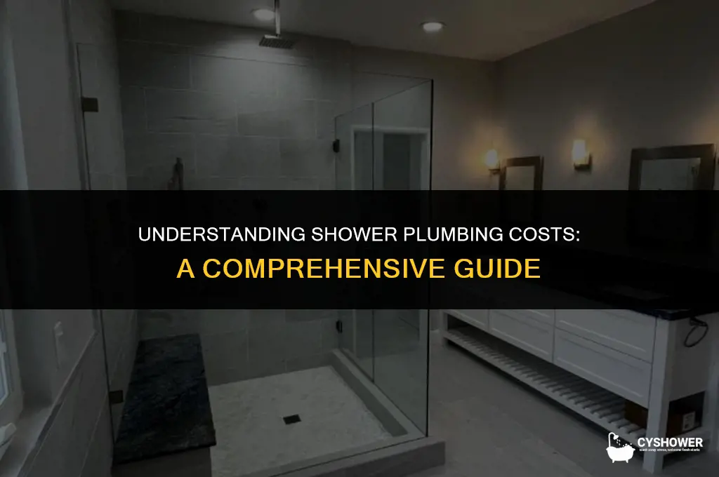 how much does plumbing cost for a shower