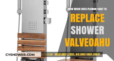 Plumbing Costs: Shower Valve Replacement in Oahu Explained