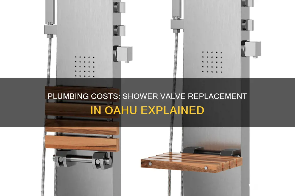 how much does plumbr coist to replace shower valveoahu
