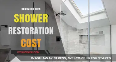 Revamping Your Shower: A Cost Breakdown for Restoration Projects