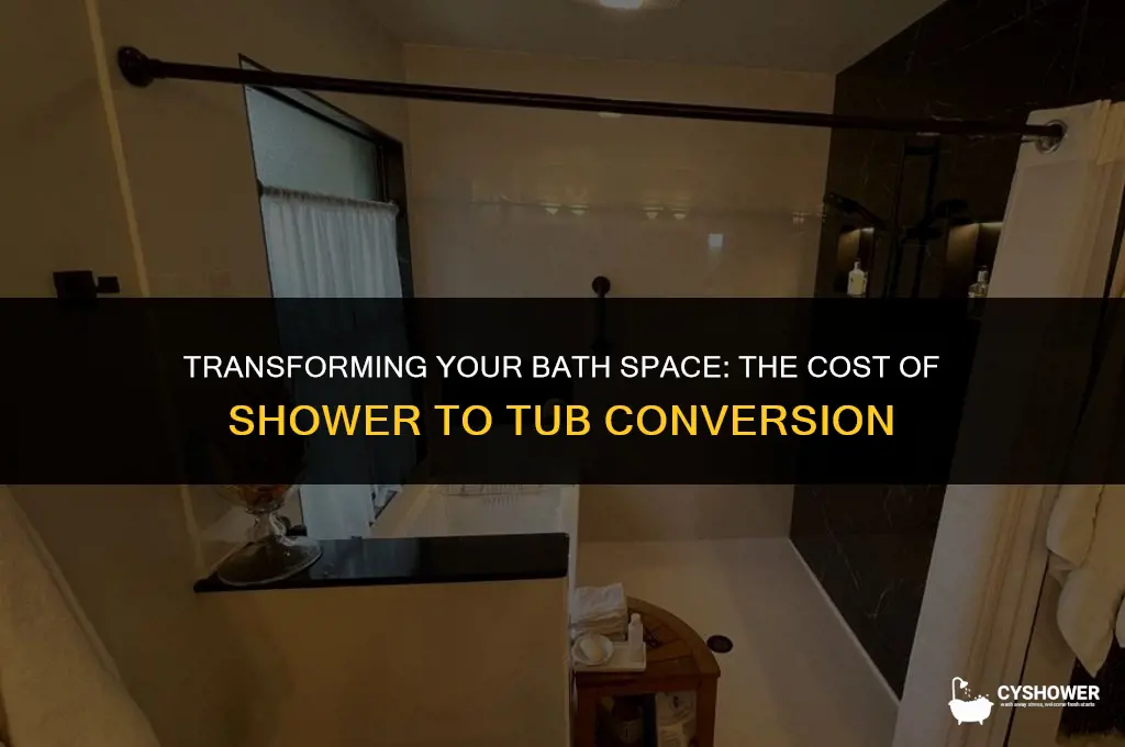 how much does shower to tub conversion renovation cost