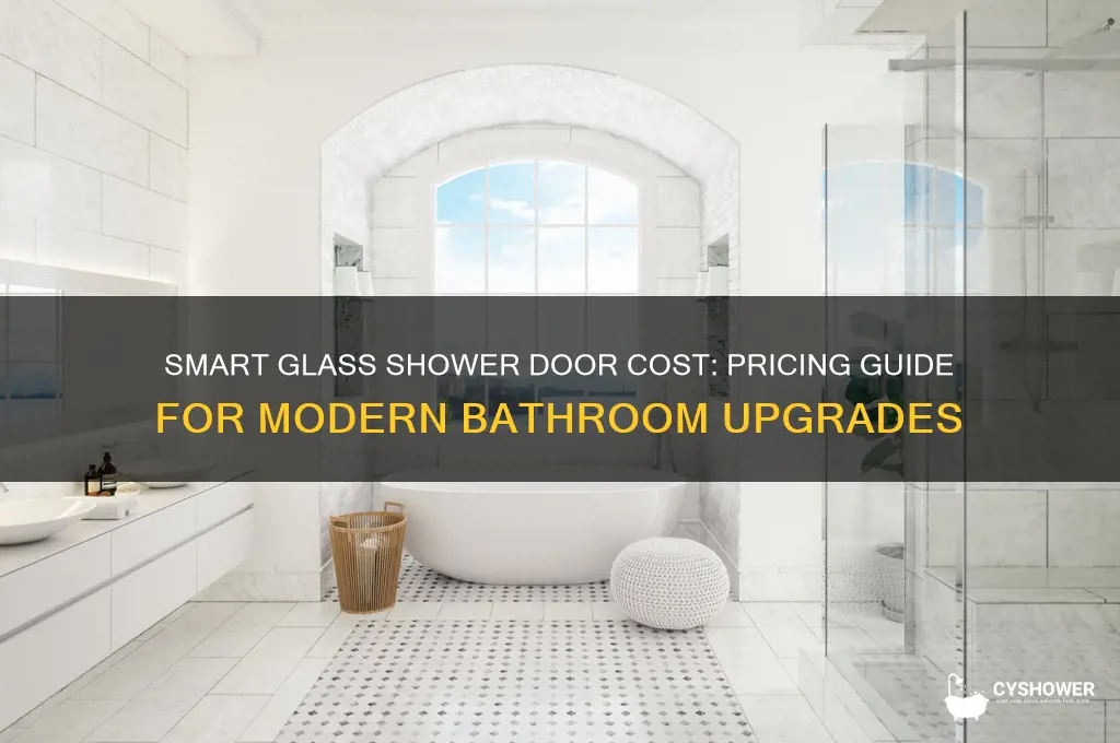 how much does smart glass shower door cost