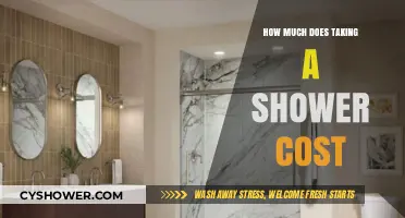 The Hidden Costs of Staying Clean: A Shower's Price Tag