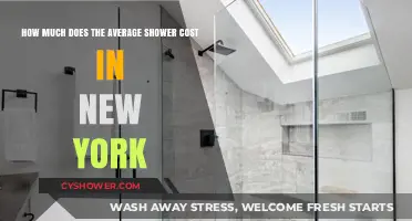 The Cost of Cleanliness: Average Shower Expenses in New York