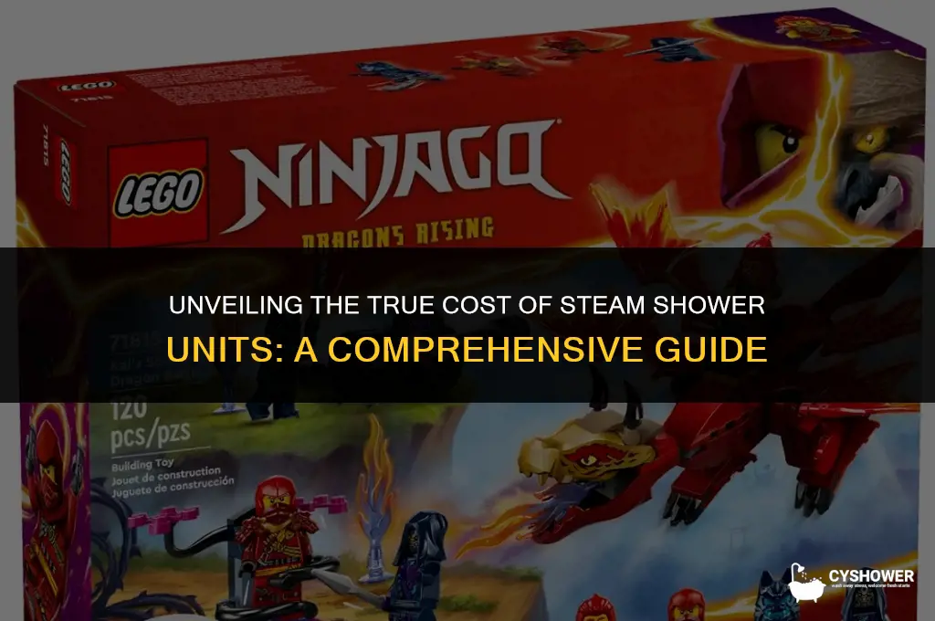 how much does the steam shower unit cost