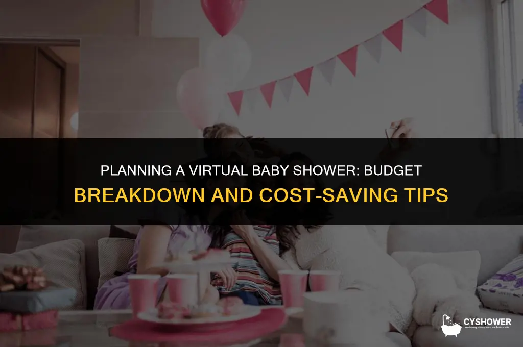 how much does web baby shower cost